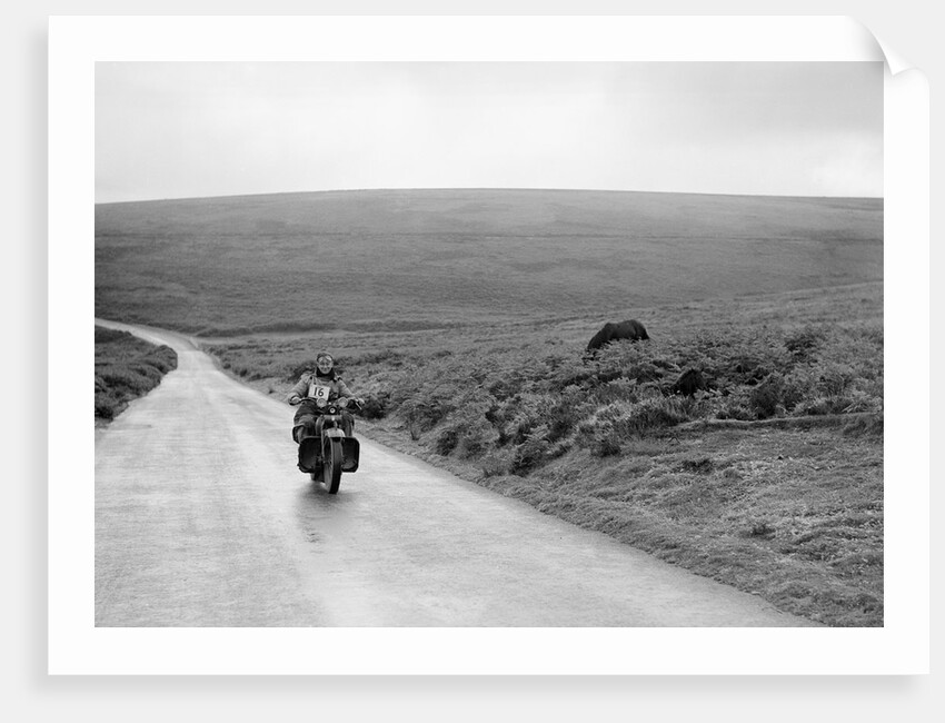1208 cc Harley-Davidson of FJ Sturley, winner of a bronze award at the MCC Torquay Rally, July 1937 by Bill Brunell