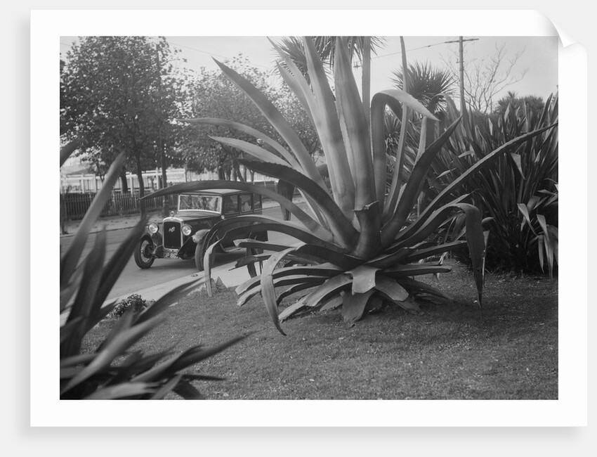 1931 Austin 16/6 on a road test, Torquay, Devon by Bill Brunell