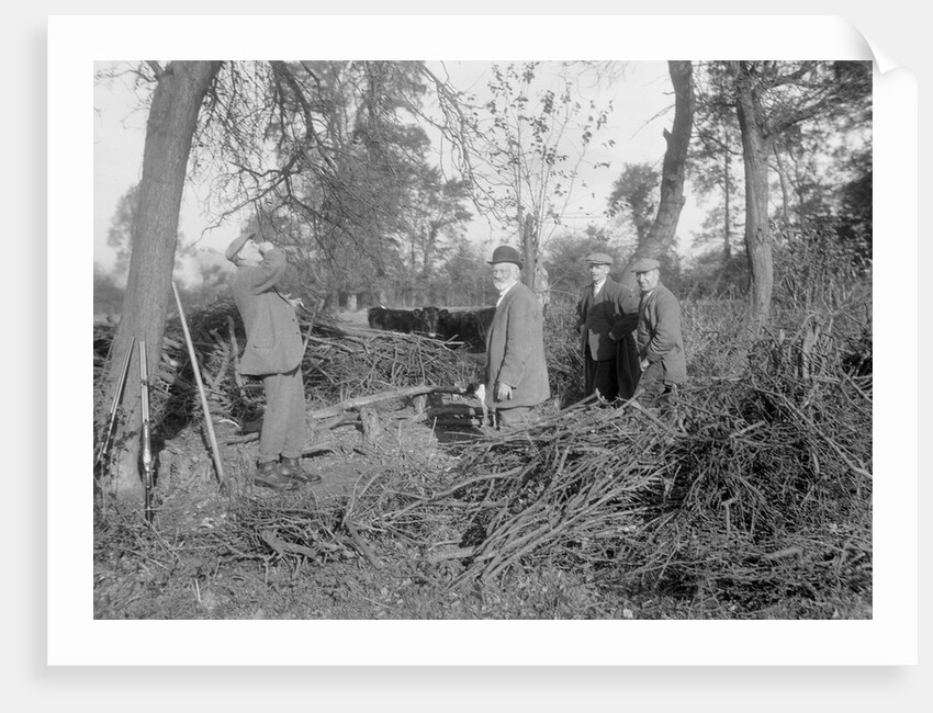 Shooting party by Bill Brunell