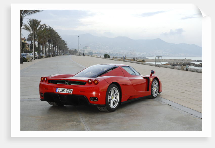 2003 Ferrari Enzo by Unknown