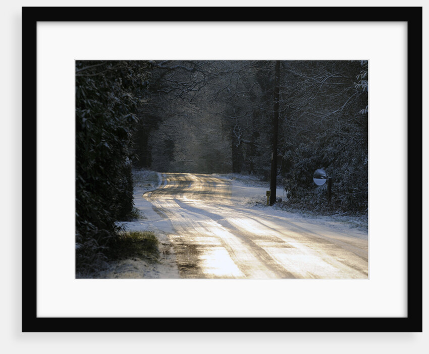 Sun glinting off an icy road in the New Forest 2009 by Unknown