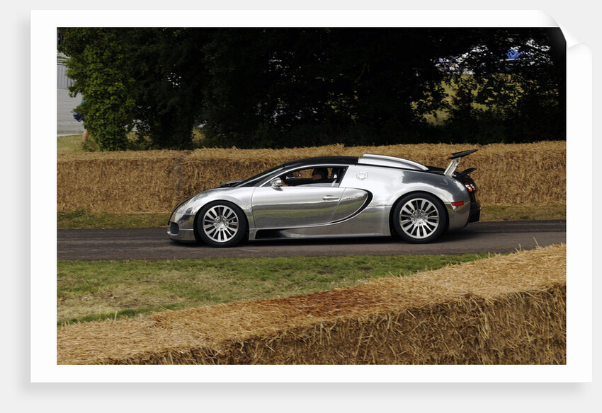 2009 Bugatti Veyron Pur Sang by Unknown