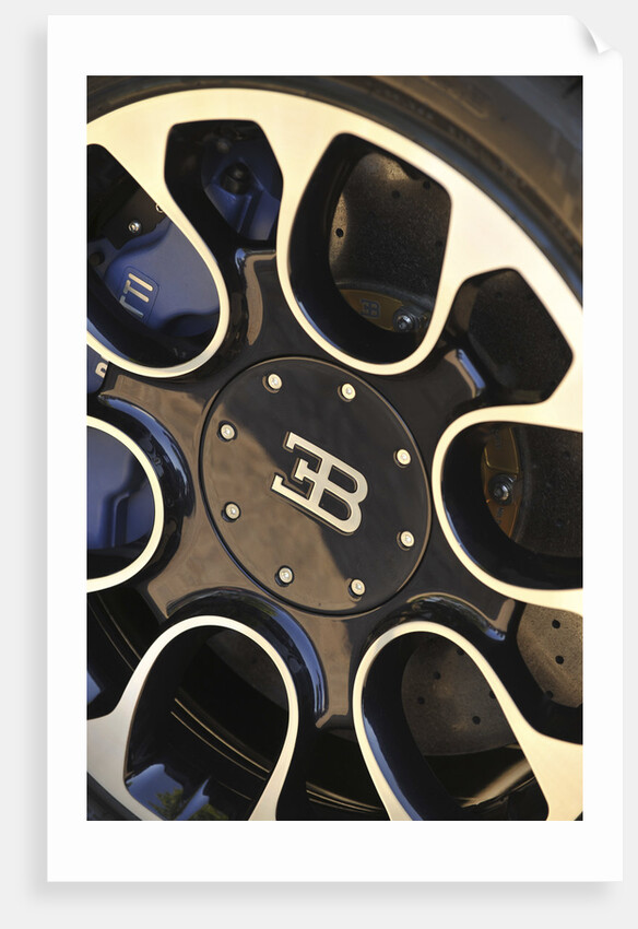 2009 Bugatti Veyron Sang Bleu by Unknown