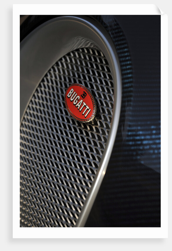 2009 Bugatti Veyron Sang Bleu by Unknown