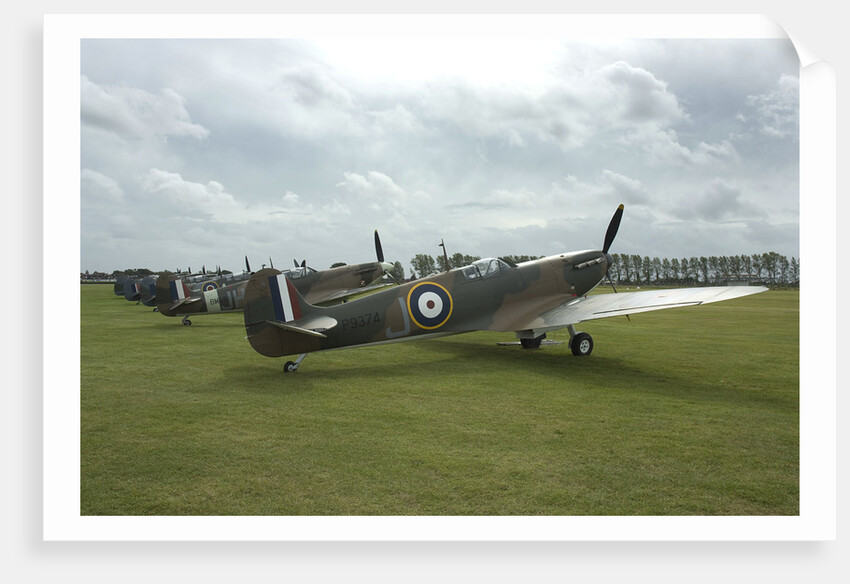 2011 Goodwood Revival Meeting, row of Spitfire Aircraft by Unknown