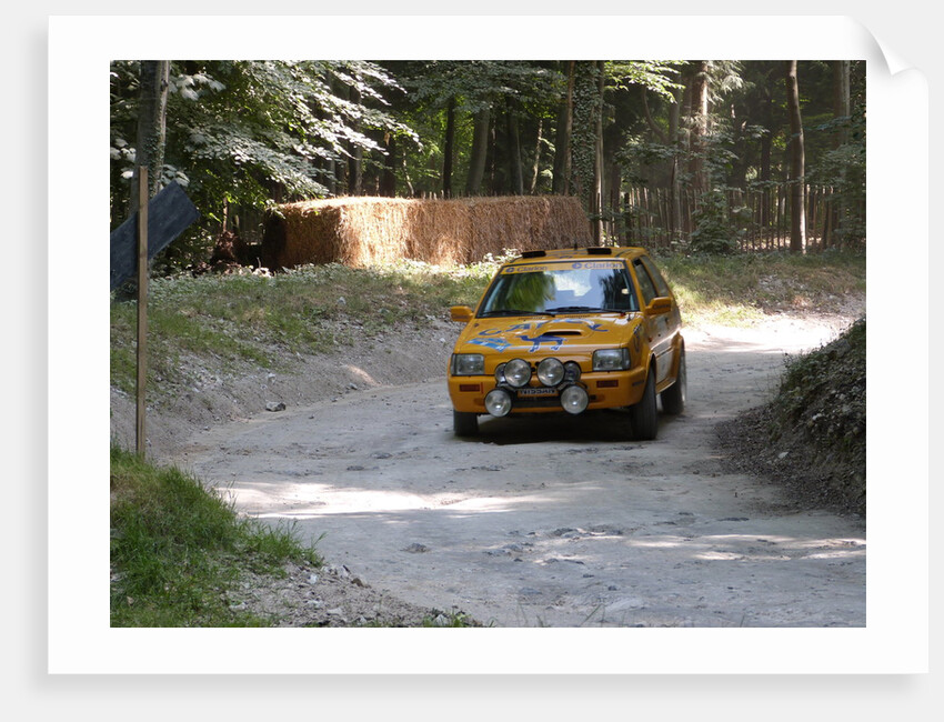 Nissan Micra Camel Rally Car Goodwood Festival of Speed 2013 by Unknown