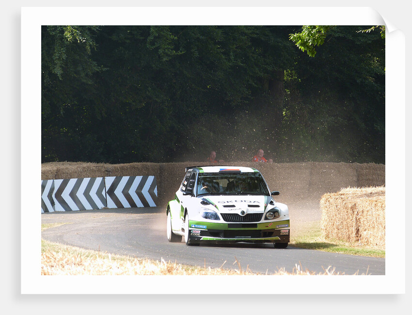 Skoda Rally car 2013 Goodwood Festival of speed by Unknown