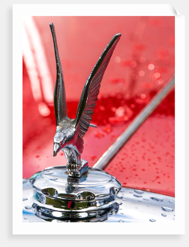 Alvis Mascot by Anonymous