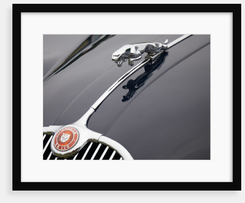 Leaping cat mascot on Jaguar XK150 by Anonymous