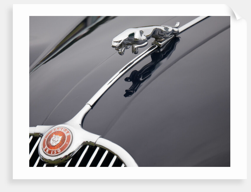 Leaping cat mascot on Jaguar XK150 by Anonymous