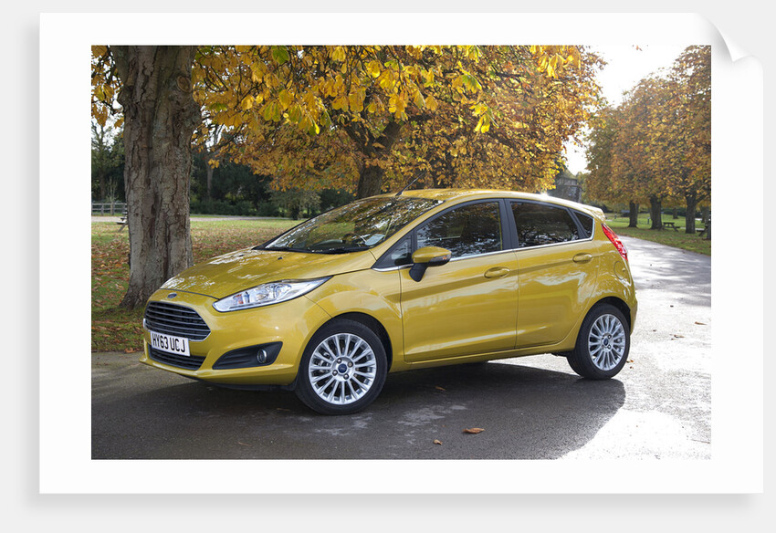 2013 Ford Fiesta Econetic by Unknown