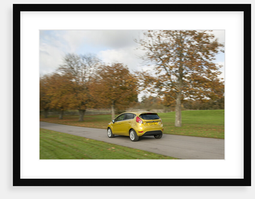 2013 Ford Fiesta Econetic by Unknown