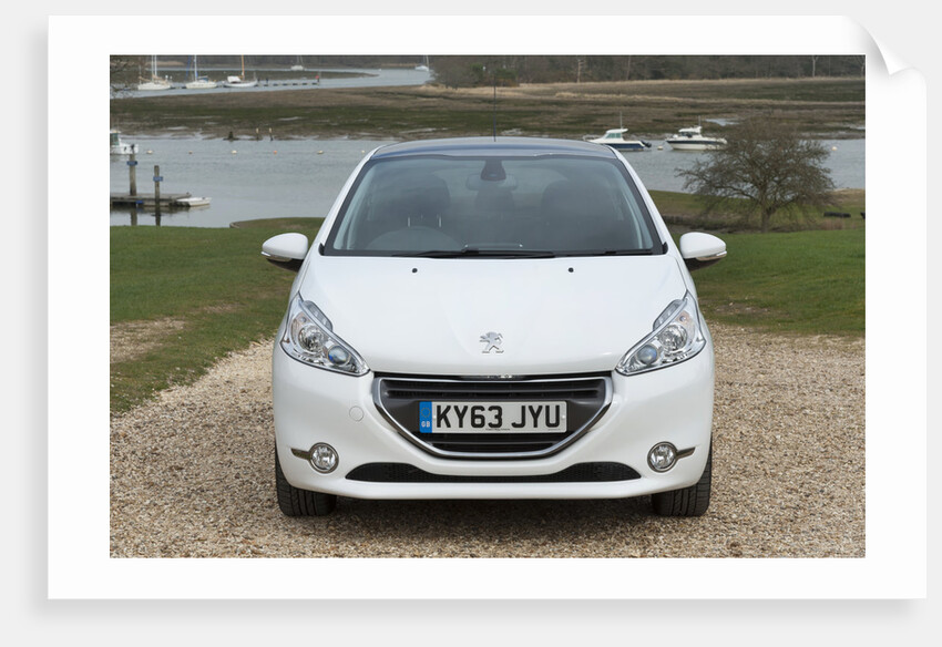 2014 Peugeot 208 Hdi by Unknown