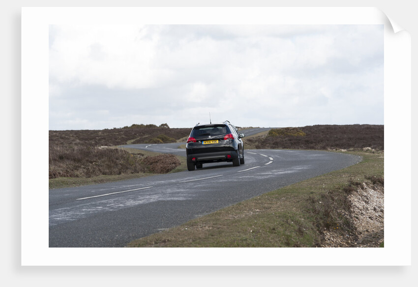 2014 Peugeot 2008 Hdi Feline by Unknown