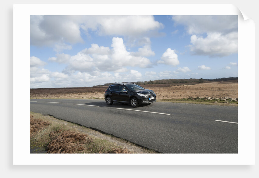 2014 Peugeot 2008 Hdi Feline by Unknown