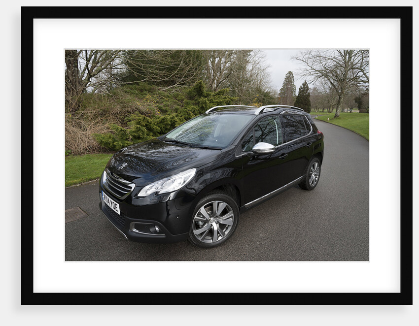 2014 Peugeot 2008 Hdi Feline by Unknown