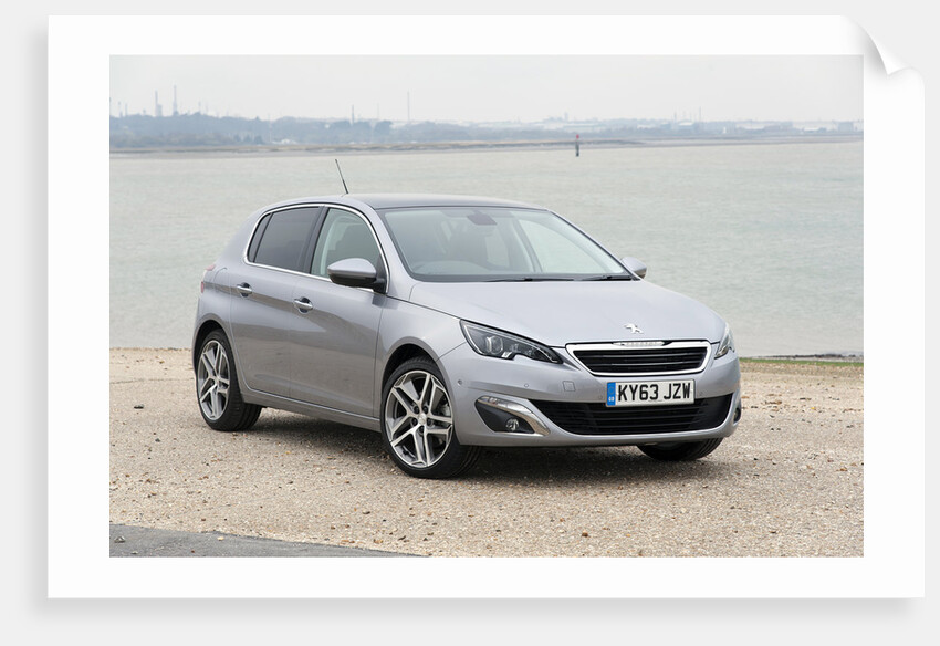 2014 Peugeot 308 THP 156 Feline by Unknown