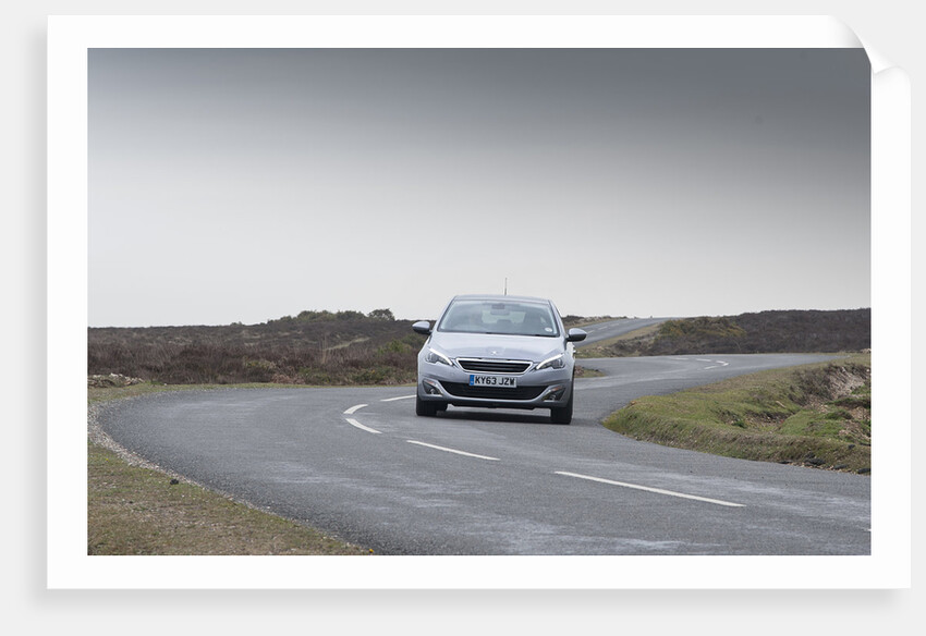 2014 Peugeot 308 THP 156 Feline by Unknown