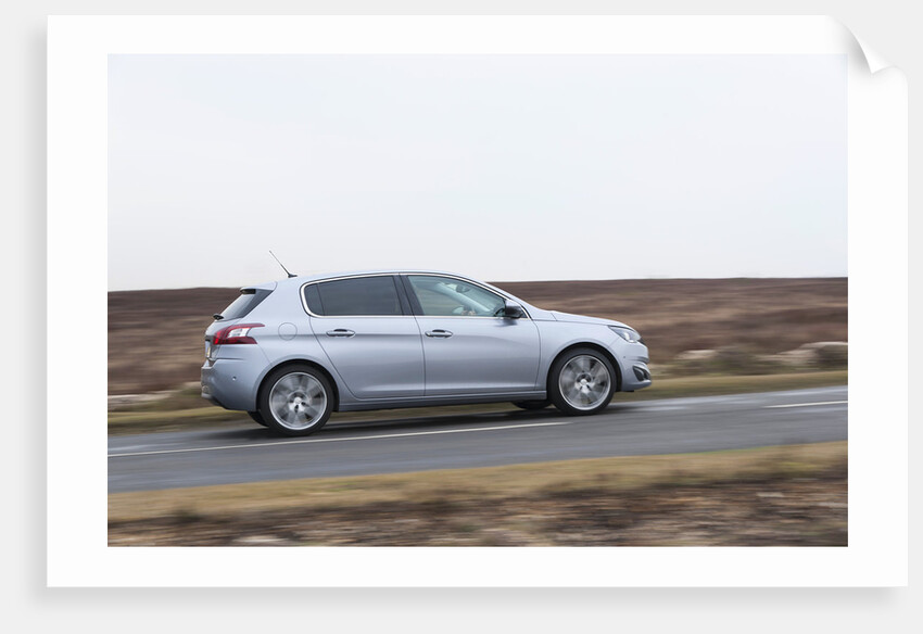 2014 Peugeot 308 THP 156 Feline by Unknown
