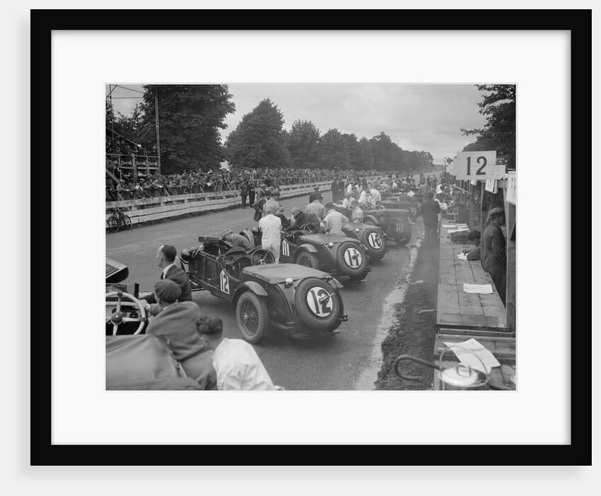 Cars before the start of the Irish Grand Prix, Phoenix Park, Dublin, 1930 by Bill Brunell