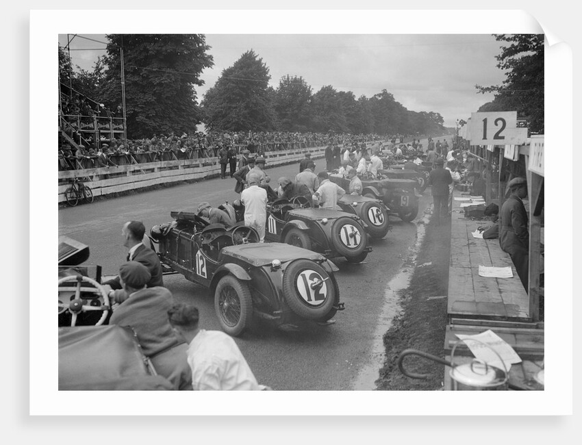 Cars before the start of the Irish Grand Prix, Phoenix Park, Dublin, 1930 by Bill Brunell