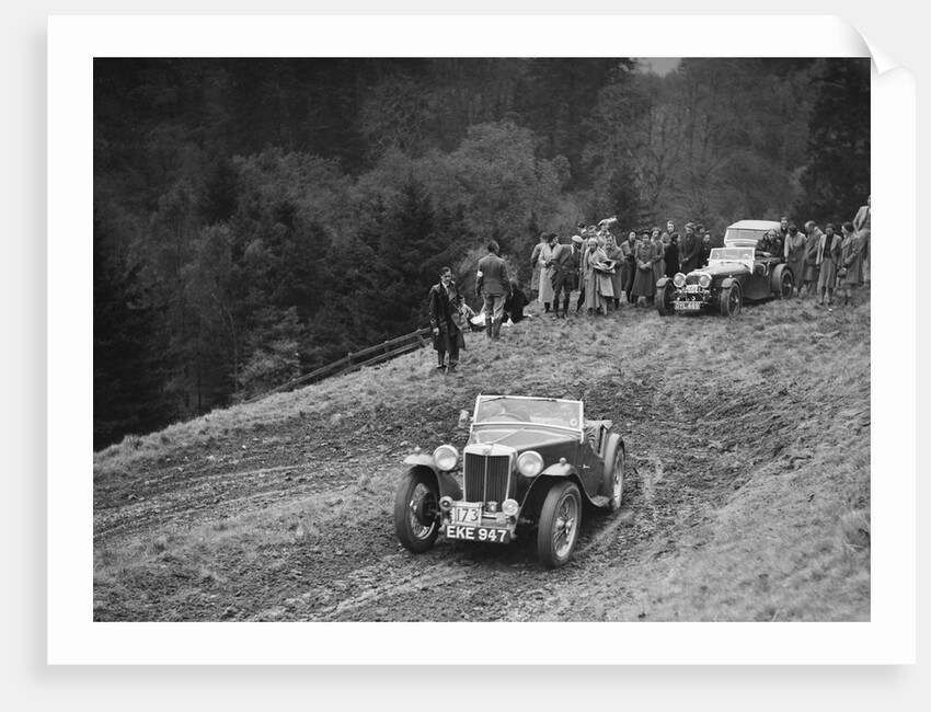 MG TA of RE Rushbrook competing in the MCC Edinburgh Trial, Roxburghshire, Scotland, 1938 by Bill Brunell