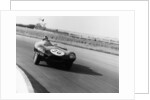 Jaguar D Type, Silverstone, 1961 by Unknown