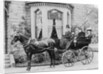 Women and a coachman in a pony and trap, late 19th century by Unknown