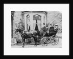 Women and a coachman in a pony and trap, late 19th century by Unknown