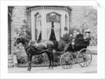 Women and a coachman in a pony and trap, late 19th century by Unknown