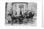 Women and a coachman in a pony and trap, late 19th century by Unknown