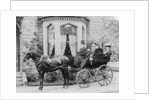 Women and a coachman in a pony and trap, late 19th century by Unknown