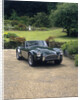 1964 AC Cobra by Unknown