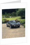 1964 AC Cobra by Unknown