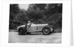 Kay Petre driving a Riley, Autumn Hill Climb, Shelsley Walsh, Worcestershire, 1935 by Unknown