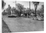 A Pontiac and a Willy's in a flood, USA, c1941 by Unknown