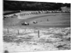 Formula Three Cooper 500cc cars racing at Brands Hatch, Kent, c1950-c1952 by Unknown