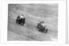 Itala and Sunbeam racing, Brooklands, Surrey, c1912-c1913 by Unknown