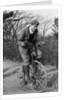 A young Lord Nuffield riding a bicycle down a country lane by Unknown