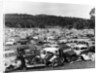 Old cars in a scrapyard, Cooma, New South Wales, Australia, 1973 by Unknown