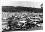 Old cars in a scrapyard, Cooma, New South Wales, Australia, 1973 by Unknown