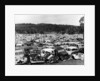 Old cars in a scrapyard, Cooma, New South Wales, Australia, 1973 by Unknown