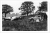 Camping scene, c1933 by Unknown