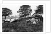 Camping scene, c1933 by Unknown