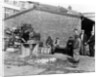 Gutting fish outside a warehouse in Whitby, North Yorkshire, 1959 by Unknown