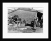 Gutting fish outside a warehouse in Whitby, North Yorkshire, 1959 by Unknown