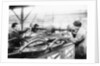Two men at work on the production line, Cubitt factory, c1920-c1921 by Unknown