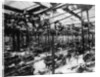 The Austin car factory at Longbridge, Birmingham, 1913 by Unknown