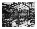 The Austin car factory at Longbridge, Birmingham, 1913 by Unknown