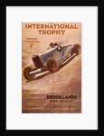 Programme for the Brooklands International Trophy, 1934 by Unknown